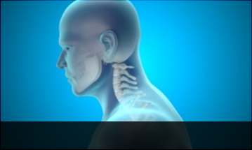 수원자생한방병원 목질환 일자목증후군-정상적인 C자형 목뼈 모습입니다.
